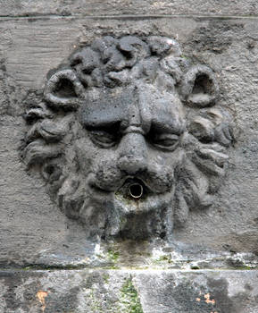 Stone fountain lion head 1