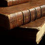 old books - dictionary 06