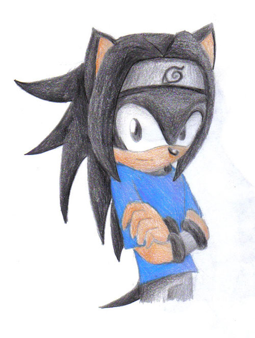 Sasuke the Hedgehog