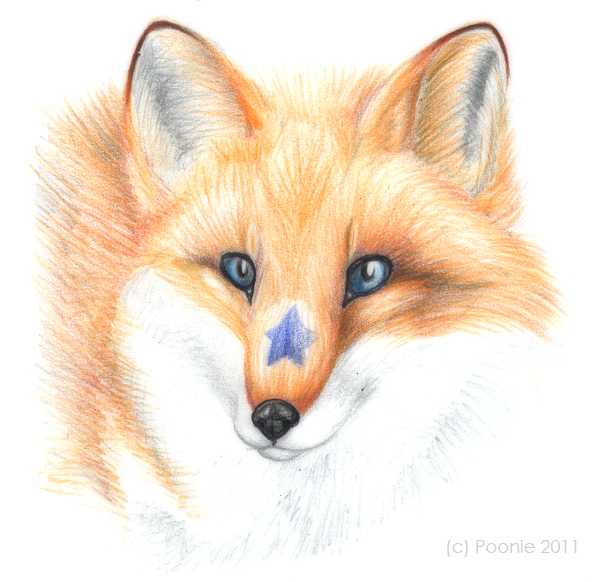 Poonie the Fox