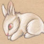 Little White Bunny- SOLD