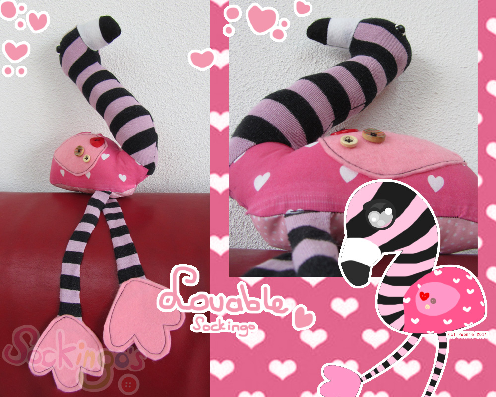 Lovable the Sockingo - FOR SALE