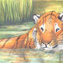 Bathing Time - ACEO Trade
