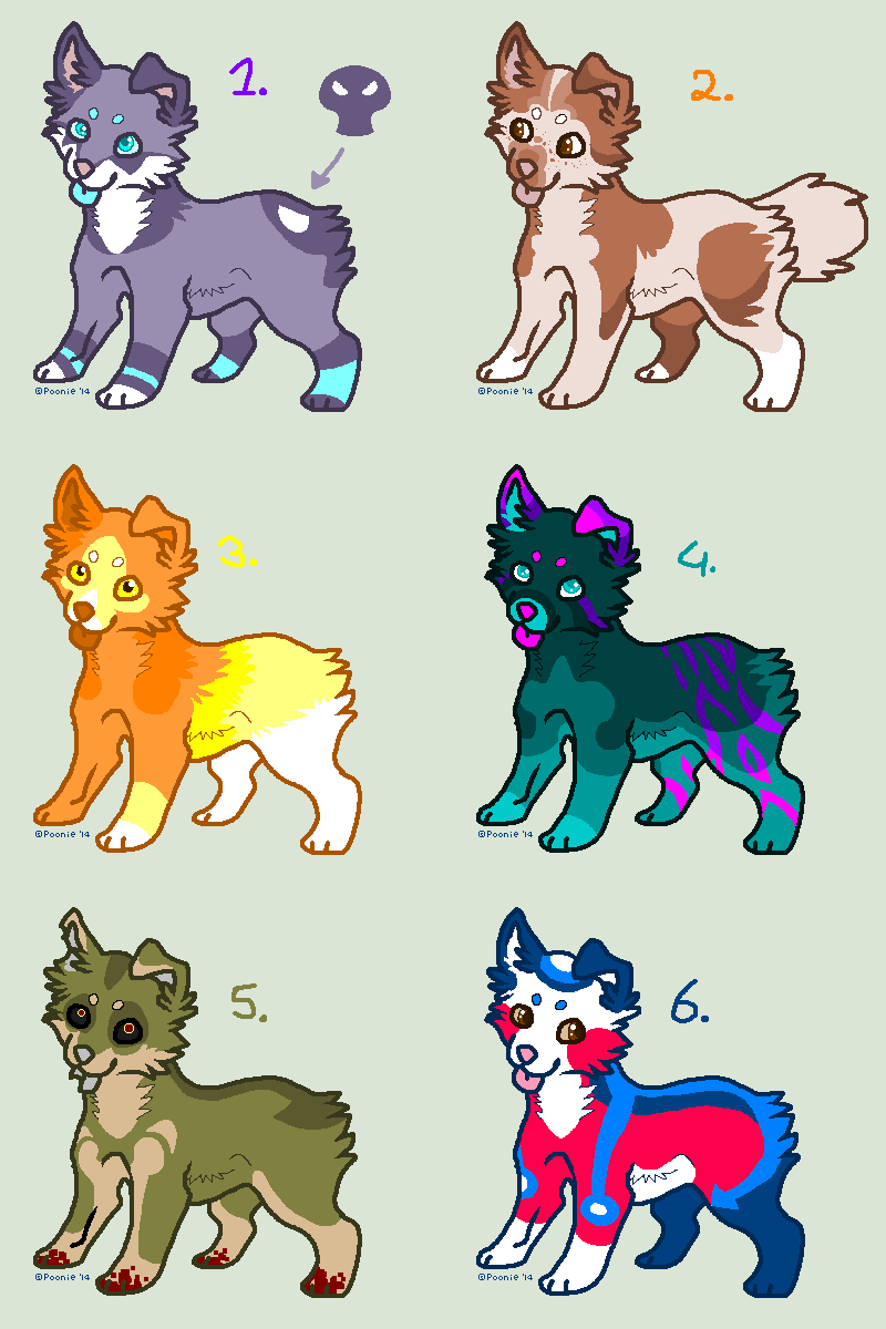 Tailless Puppy Adoptables - CLOSED