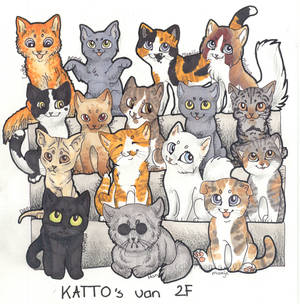 School Fun - the Kattos