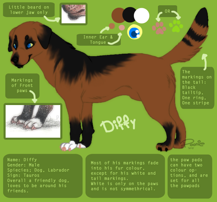 Diffy Dog - Refsheet by PoonieFox