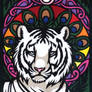 The Peacock Tiger