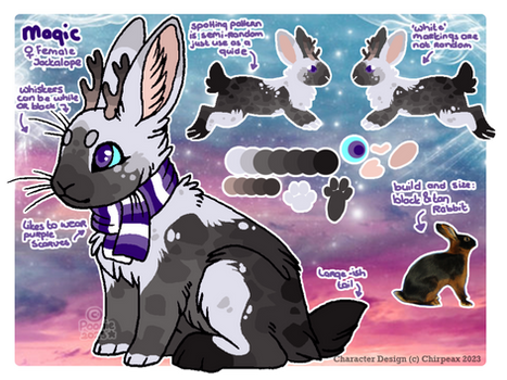 Magic - Reference Sheet by PoonieFox