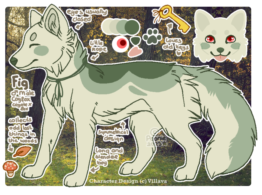 Fig Reference Fig - Reference Commission by PoonieFox on DeviantArt