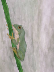 Frog Painting