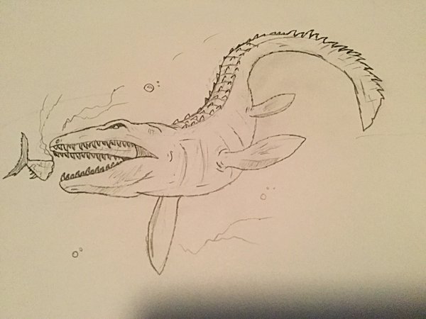 Jurassic World Hand Made drawing of a mosasaurus by jurassicworldshop