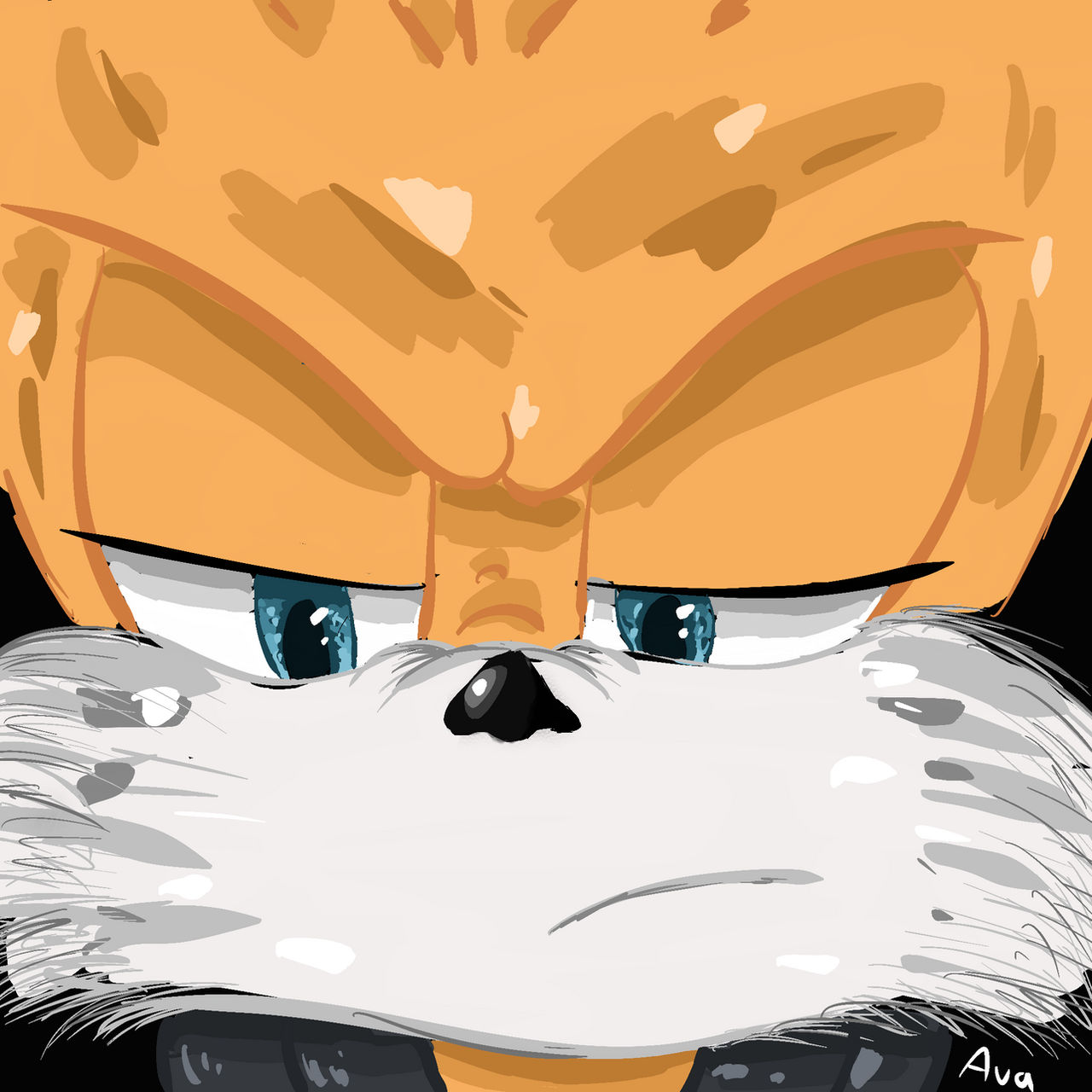 Mega 9 Tails Tails Nine by AvaTheHedgehog8 on DeviantArt