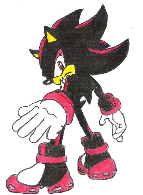 Shadow the hedgehog