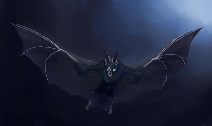 The Vampire Bat by Porrie on DeviantArt