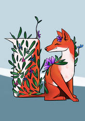 Flowery fox