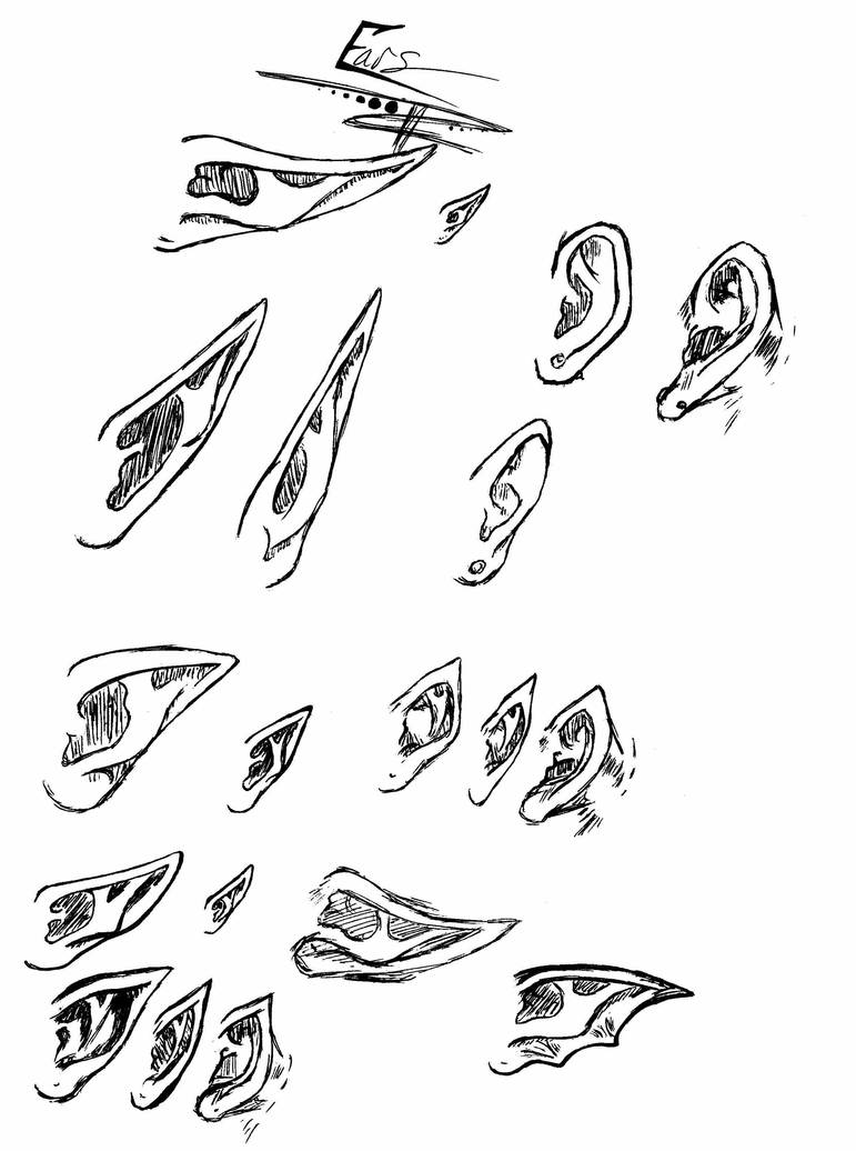 Ears Reference by CoralineDarkDesigns on DeviantArt