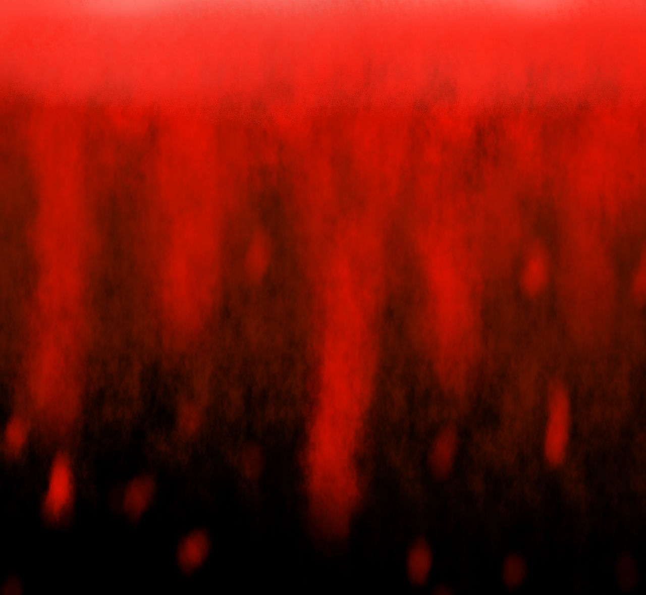 Bloody Layout Bloody Background by katiekane822 on DeviantArt