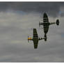 North American P-51 and Supermarine Spitfire