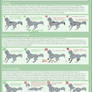 DotW Marking Guide