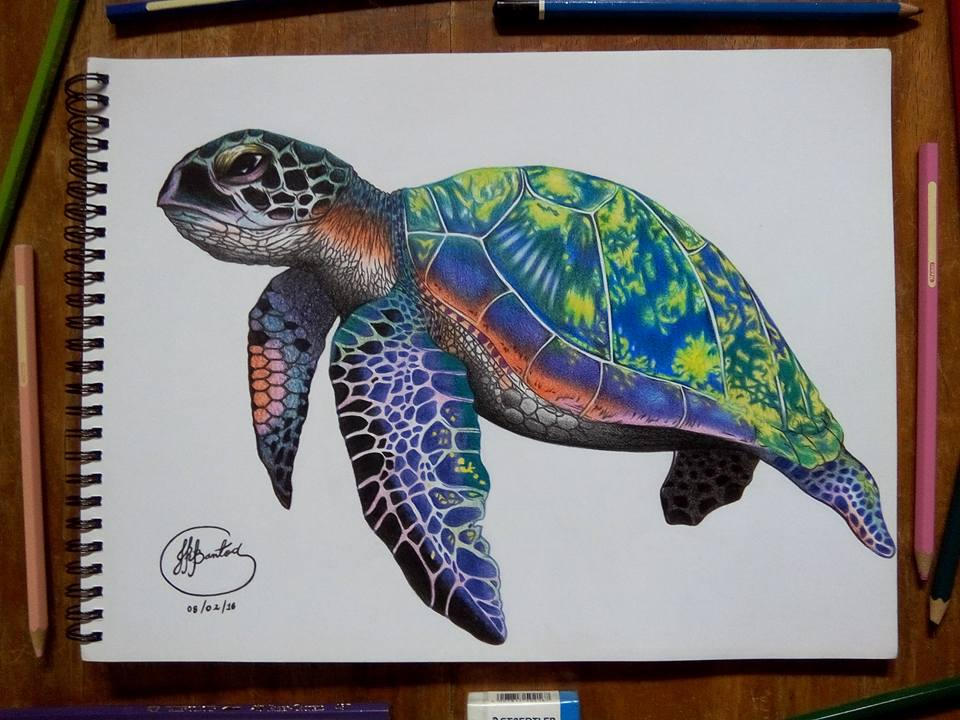 The Rainbow Sea Turtle by JuliusRamosBantog on DeviantArt