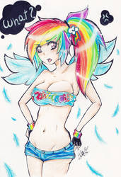 Rainbow Dash ~