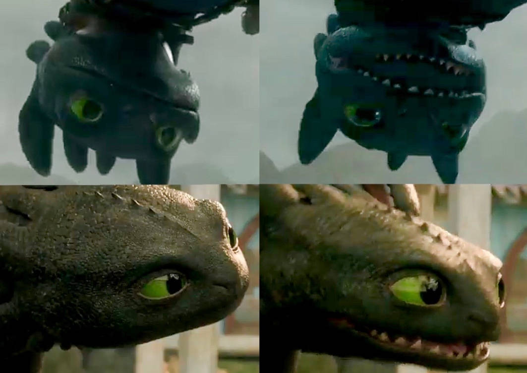 Toothless Transition Live action Toothless by JudyIsnpiration on DeviantArt