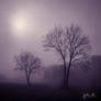 Lost In The Deep Morning