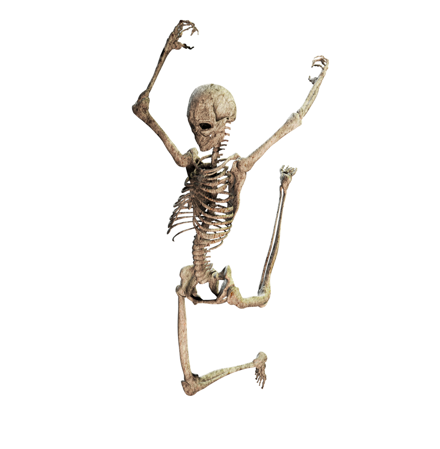 Skeleton 04