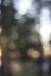 Bokeh Texture 3 by pelleron