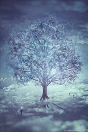 A Tree by pelleron A Tree by pelleron