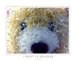 I want to go home