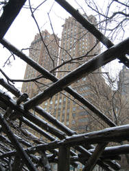 Winter in Central Park 2