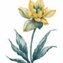 Minimal Daffodil Flower Painting (2)