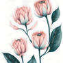 Minimal Pink Venus Protea Flower Painting (3)