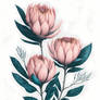 Minimal Pink Venus Protea Flower Painting (8)