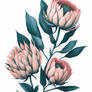 Minimal Pink Venus Protea Flower Painting (16)