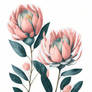 Minimal Pink Venus Protea Flower Painting (17)