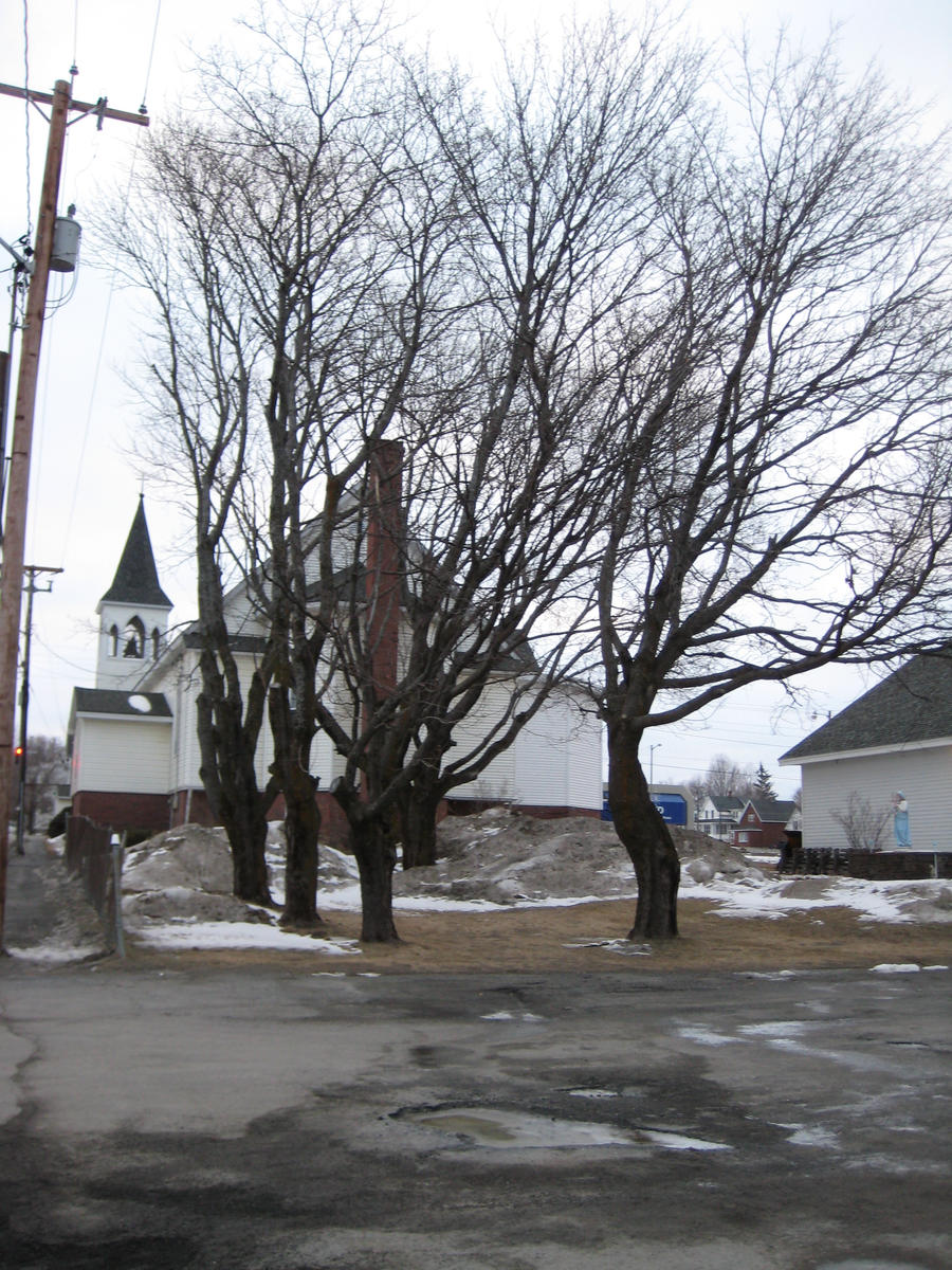 Church and Trees