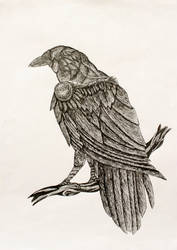 Steampunk Raven