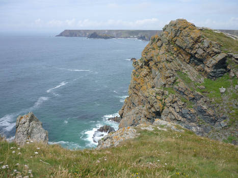 lizard point 2