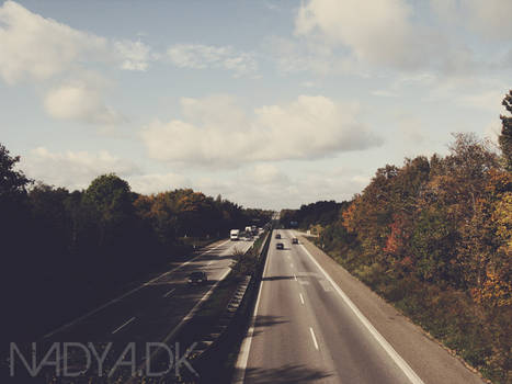 Autumn Highway