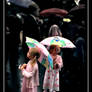 Pink umbrellas