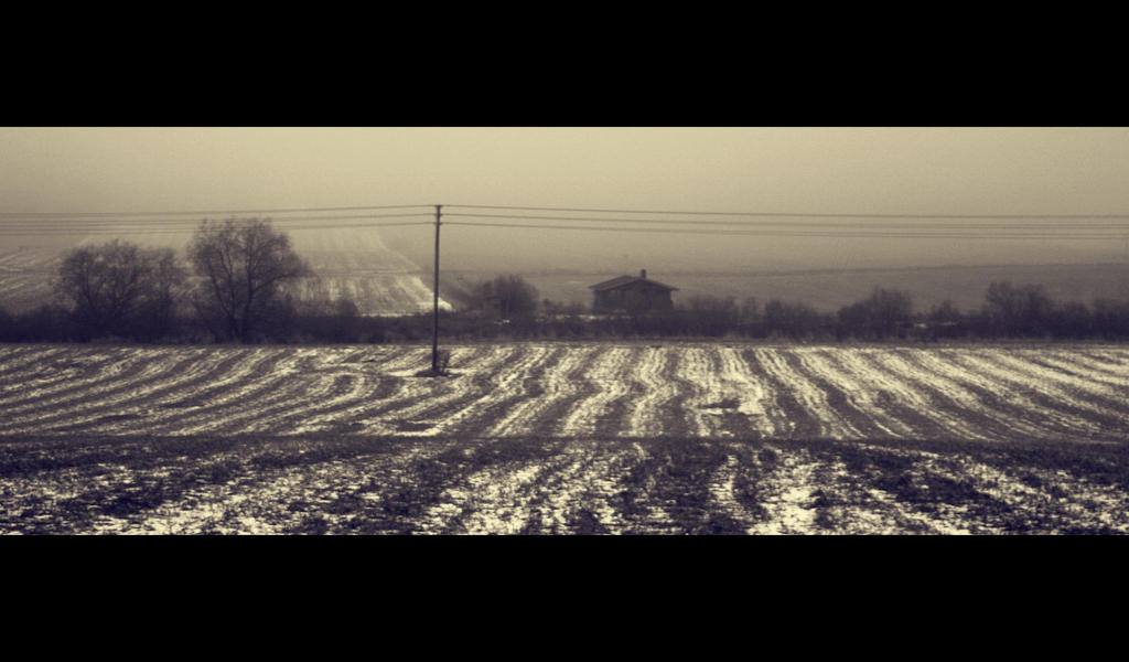 Frosty fields