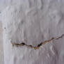 Ickledinkstock texture 69