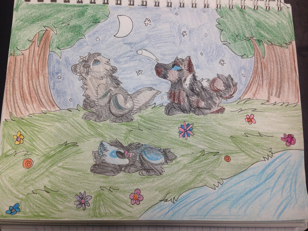 :Felvargs: Stargazing