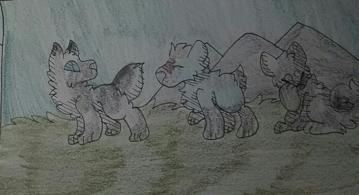 20170401 073658