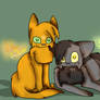 Firestar and Graystripe