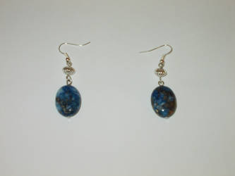 Sodalite Drop earrings