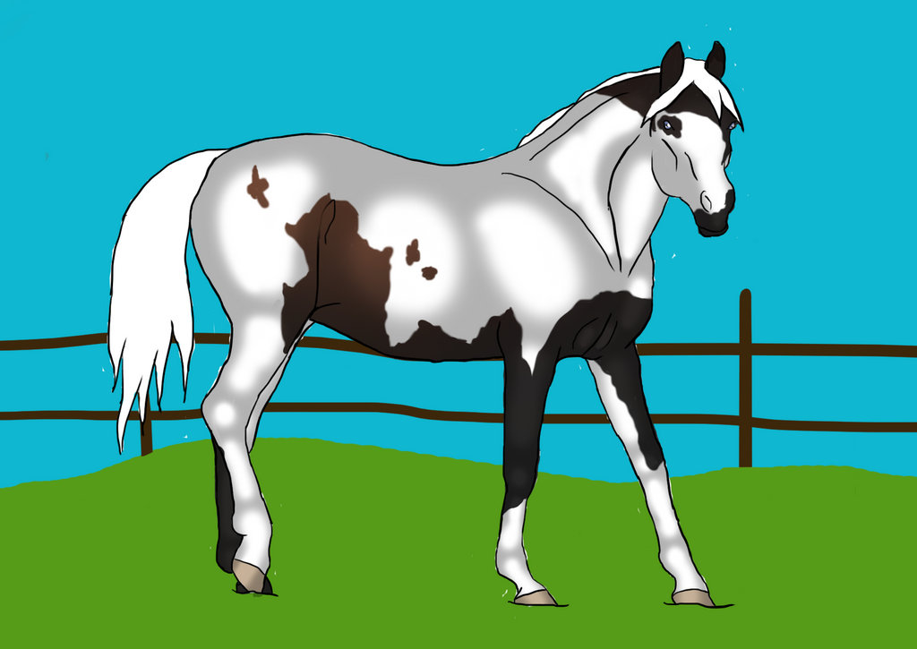 Spur Ranch Outline Commission for Shining-Spurs-Ranch (3/3) by IvoryPark on DeviantArt
