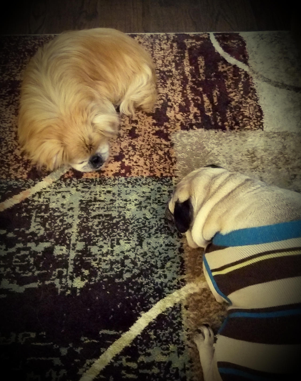 We Miss You Baby Boy By Vegloo On Deviantart